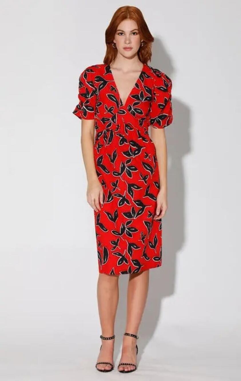 Walter Baker Fabienne Midi Dress Red Black Floral 100% Cotton XL